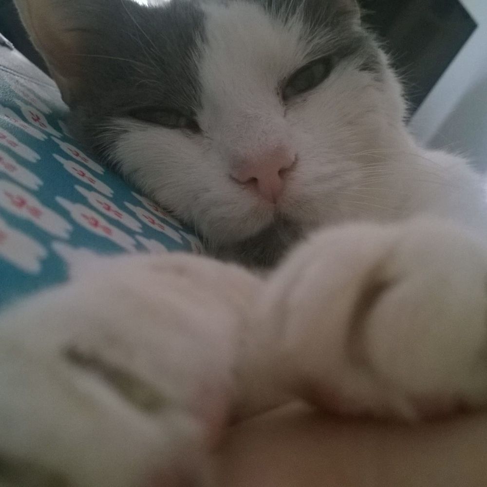 Meet your Posher, Abbey